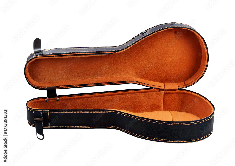 Obraz premium Guitar case isolated on transparent or white background