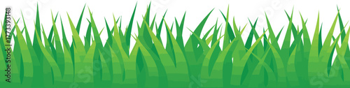 Lush green grass illustration with varying blade heights, creating a vibrant natural border, ideal for spring, eco-friendly designs, and fresh organic backgrounds