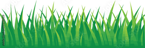 Vibrant Green Grass Illustration Natural Lawn Design for Spring and Summer