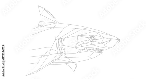 Shark outline polygonal style with transparent background