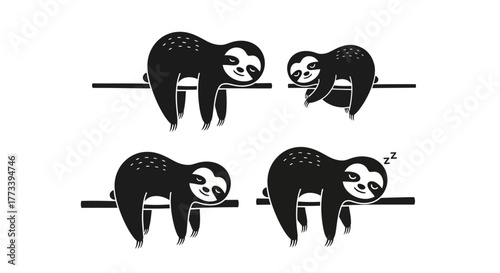 Sleeping sloths on branch