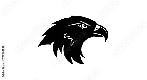 Eagle head profile with transparent background