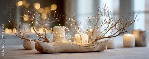 Eco friendly christmas deco...