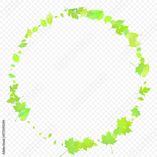 Leaves Falling. Spring Flying Foliage. Chaotic Green Leaf Flying On Transparent Background. Forest Design, Nature Elements. Ecology Vector Illustration. Environment Backdrop.