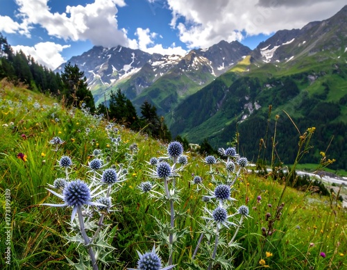 Fototapeta Naklejka Na Ścianę i Meble -  A vibrant mountain landscape featuring wildflowers and distant snow peaks