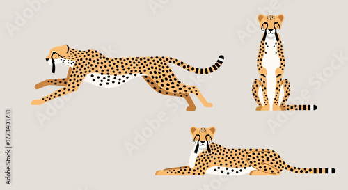 Cheetah poses: running, sitting, and lying down