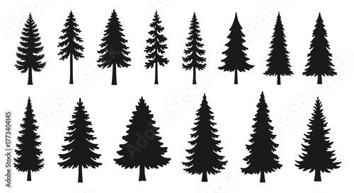 Collection of fir tree silhouettes evergreen forest illustration isolated on white background