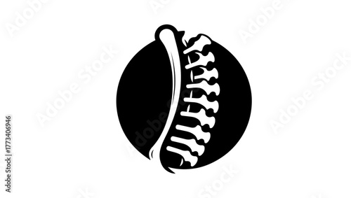 osteoporosis minimal black and white logo vector icon, orthopedic svg, pelvis svg, orthopedic vector, orthopedic logo black and white, hip bone svg, orthopedic icon free, femur bone icon, hip bone ico