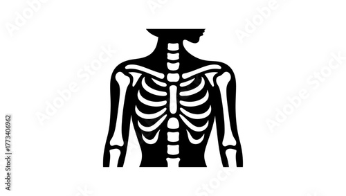 osteoporosis minimal black and white logo vector icon, orthopedic svg, pelvis svg, orthopedic vector, orthopedic logo black and white, hip bone svg, orthopedic icon free, femur bone icon, hip bone ico