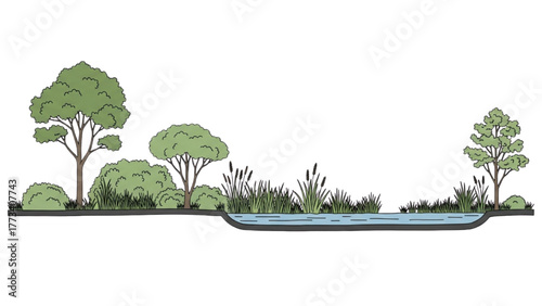 Natural landscape illustration featuring diverse trees, bushes, reeds, and a tranquil body of water