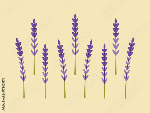 Collection of purple lavender sprigs on a soft yellow background
