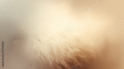 Fototapeta Naklejka Na Ścianę i Meble -  Soft and Dreamy Abstract Background with Cream and Beige Tones