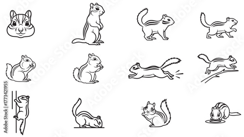 Squirrel forest pose outline icon sheet, bushy tail woodland animal vector collection