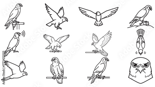 Falcon hunting flight outline icons, speed raptor vector set for wildlife graphics
