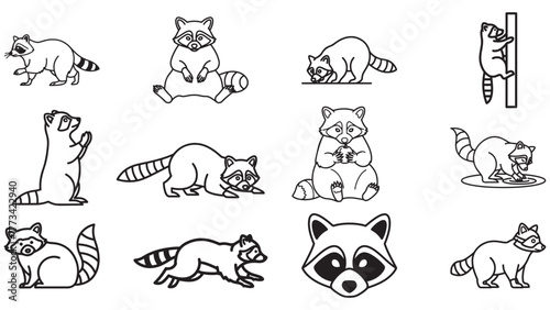 Raccoon masked forest outline icons, ringtail scavenger vector animal collection