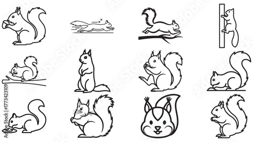 Chipmunk stripe woodland pose icons, tiny rodent outline vector sheet for forest scenes