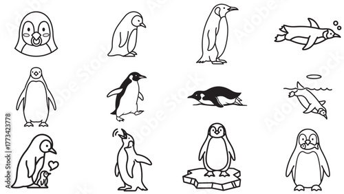 Unique Set of Penguin Standing and Swimming Poses as Minimalist Antarctic Bird Outline Vector Icons