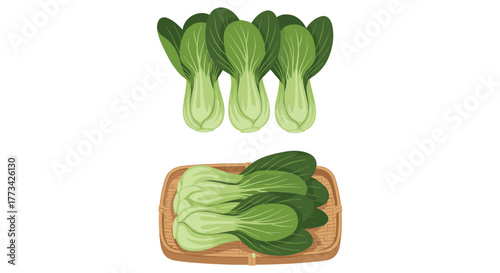 Illustration of bok choy vegetables, three standing and several in a basket.