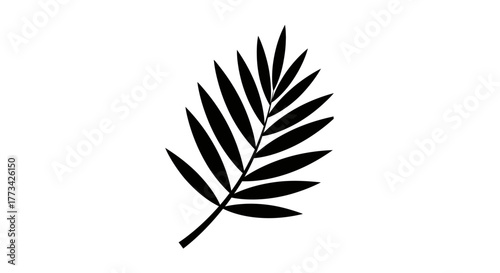 Palm leaf silhouette with transparent background