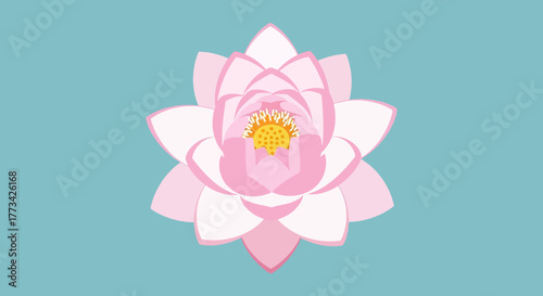 Pink lotus flower on teal background with transparent background