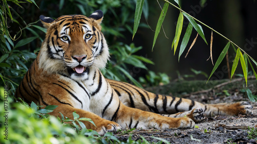 Relaxed Tiger in Greenery