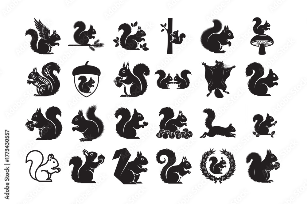 Fototapeta premium 24 Squirrel Silhouette Vector Set.