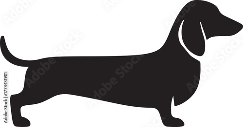 Simple black silhouette of a dachshund dog standing in profile view