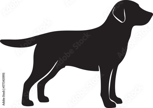 Simple black silhouette of a labrador retriever standing in profile view