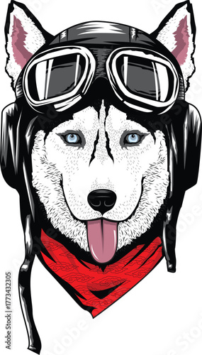 A stylish husky wearing aviator goggles and a red bandana, showcasing a bold mix of adventure, loyalty, and cool biker attitude in modern vector style.