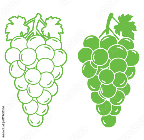 Vector illustration of two green grape bunches with leaves and minimal outline style.