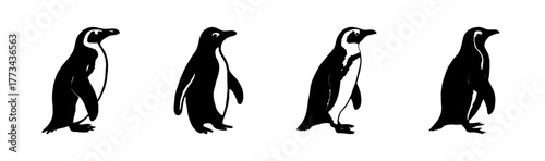 Four graphic stylized penguin silhouettes walking and standing in a line on white.
