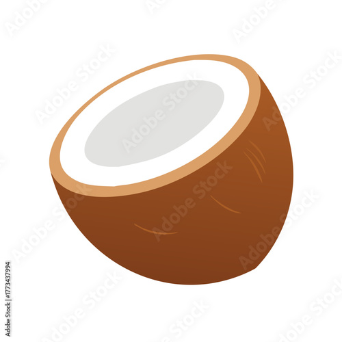 Half of coconut, tropical fruit vector