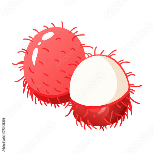 Rambutan fruit whole and half vector