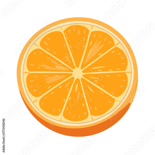 Orange slice, healthy and juicy fruit