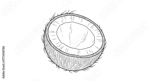 Hand-drawn black and white line art illustration of a tropical coconut cut in half, revealing its inner white flesh and a textured husk.