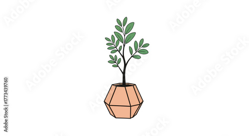 A simple, modern illustration of a green leafy plant in a geometric terracotta pot on a white background.