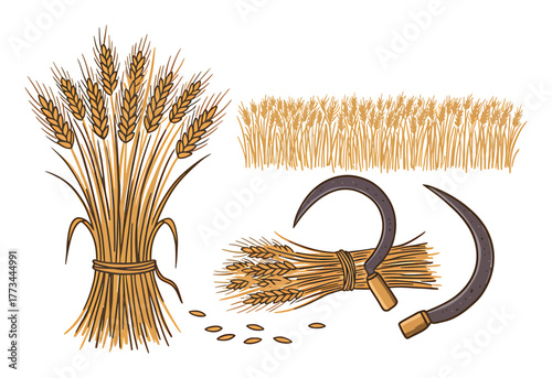 Bronze Age Emmer Wheat Harvest Vector Art - Minimalist Heritage Grain Design