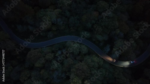 Curvy Forest Road at Night with Car Lights – Aerial View