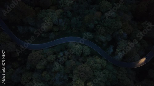Curvy Forest Road at Night with Car Lights – Aerial View