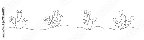 Four detailed line art sketches of prickly pear cacti with blooming flowers