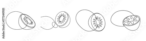 Four sketch outlines of kiwi fruit halves showing seeds and flesh detail