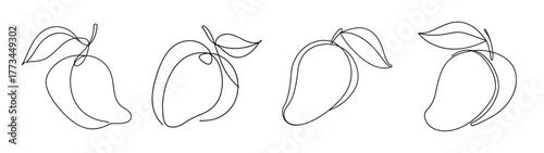 Collection of mango fruit line drawings in various poses