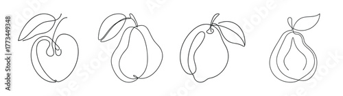 Sketch collection of four guavas with leaves detailed outline art