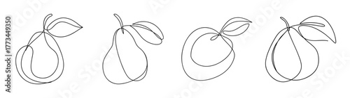 Sketchy line art of four guavas showing different angles and details