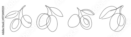 Four stylized hog plum branches with leaves sketch art detailed outline