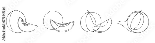 Line art drawings of honeydew melon in different stages of being sliced