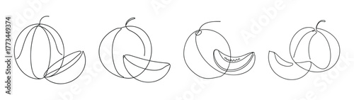 Detailed line art drawings of honeydew melon slices and halves