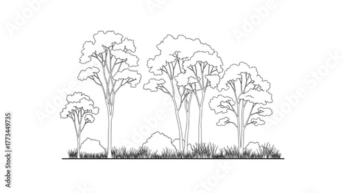 Monochrome Trees and Grass Tranquil Forest Scene with Tall Trees