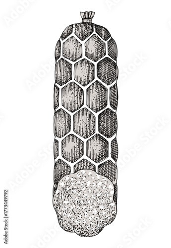 Salami sausage hand drawn vector