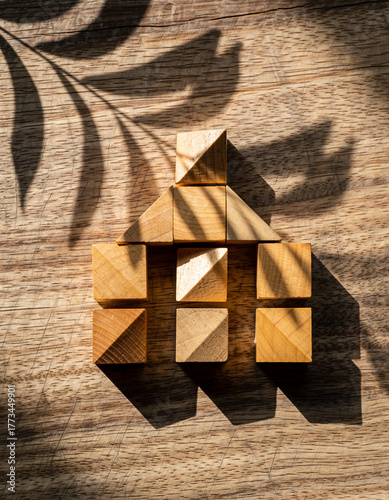 geometric wooden blocks with leaf shadows and natural light